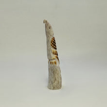 Load image into Gallery viewer, Divine Protector