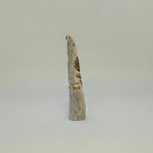 Load image into Gallery viewer, Divine Protector