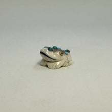 Load image into Gallery viewer, Sacred Stones Water Frog