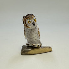 Load image into Gallery viewer, Alert Screech Owl