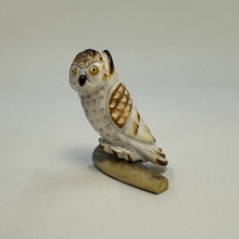 Load image into Gallery viewer, Alert Screech Owl