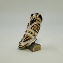 Load image into Gallery viewer, Alert Screech Owl