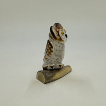 Load image into Gallery viewer, Alert Screech Owl