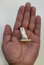 Load image into Gallery viewer, Alert Screech Owl