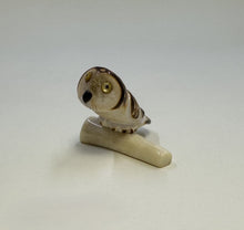 Load image into Gallery viewer, Perched Short Eared Owl