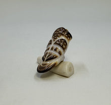 Load image into Gallery viewer, Perched Short Eared Owl
