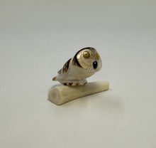 Load image into Gallery viewer, Perched Short Eared Owl