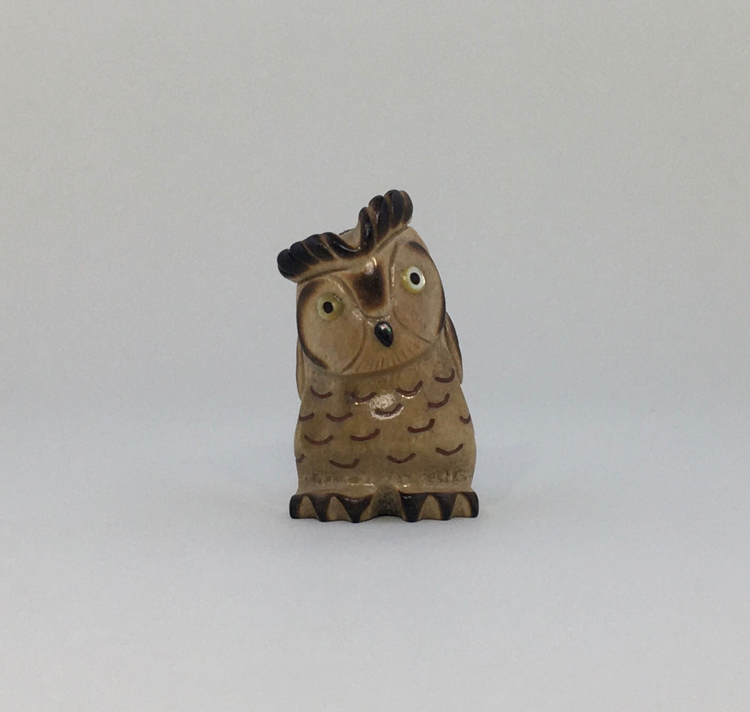 Young Horn Owl