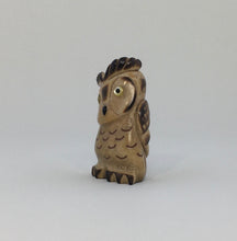 Load image into Gallery viewer, Young Horn Owl