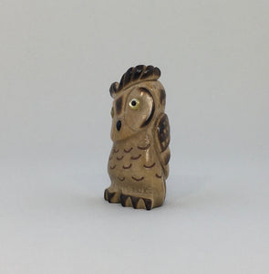 Young Horn Owl