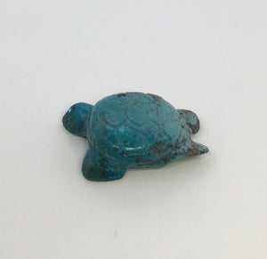 Swimming Sea Turtle