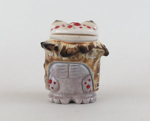 A'la:ho the Shaman Rain Frog
