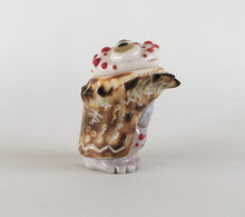 Load image into Gallery viewer, A&#39;la:ho the Shaman Rain Frog