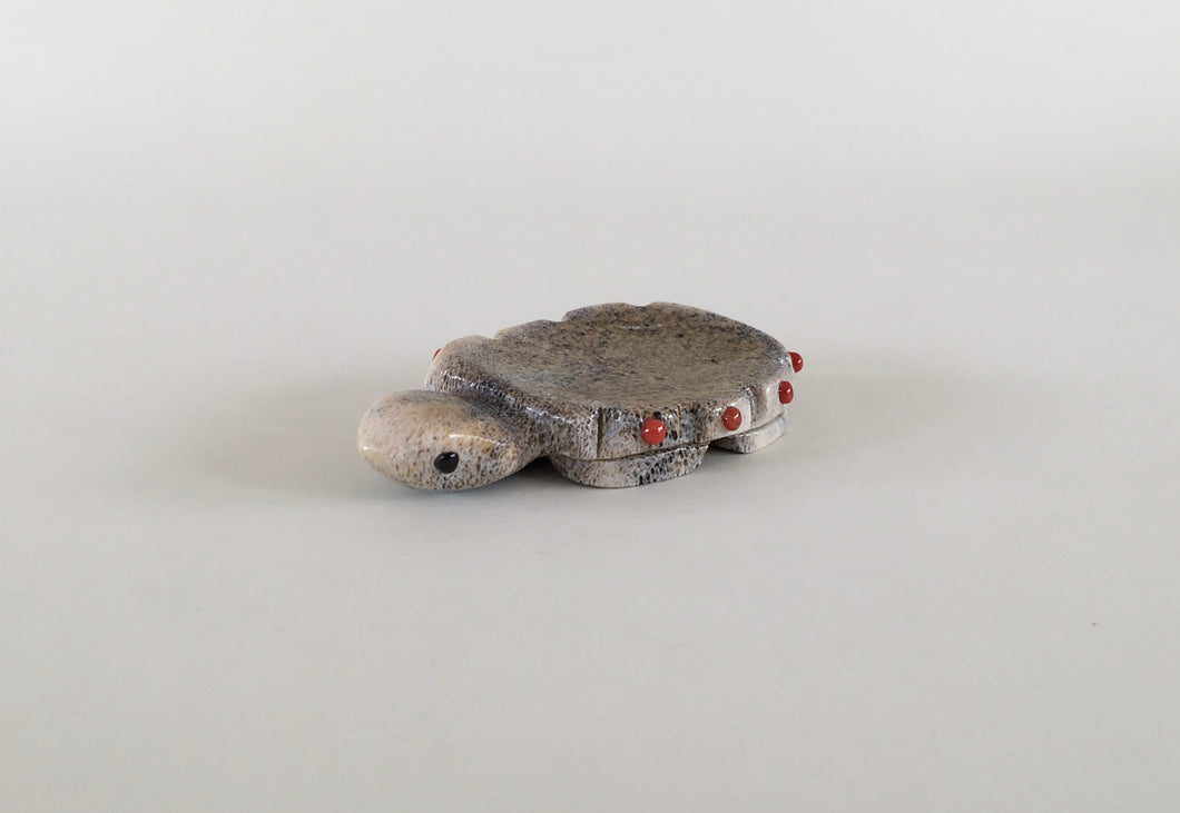 Edo:wa Turtle