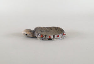 Edo:wa Turtle