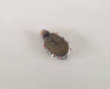 Load image into Gallery viewer, Edo:wa Turtle