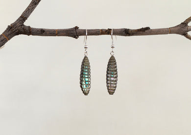 Abalone Corn Earrings