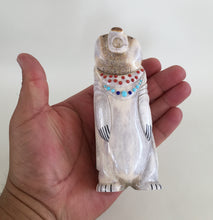 Load image into Gallery viewer, Bear In Fish Robe